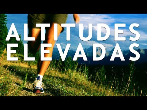 Como a altitude de Quito afeta o desempenho no futebol?